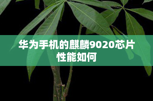 华为手机的麒麟9020芯片性能如何