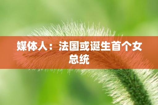媒体人：法国或诞生首个女总统