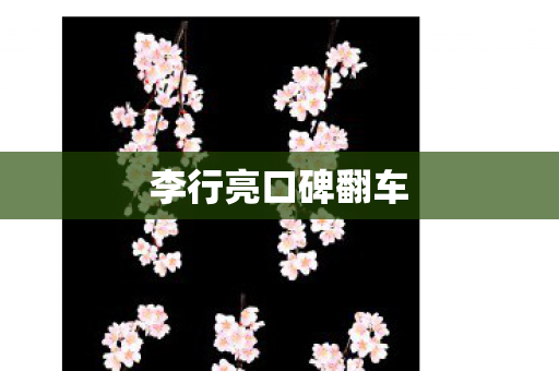 李行亮口碑翻车