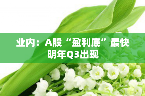 业内：A股“盈利底”最快明年Q3出现