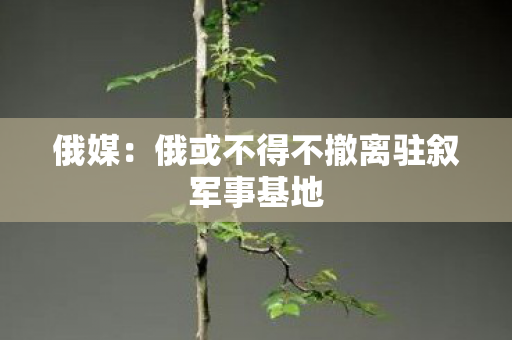 俄媒：俄或不得不撤离驻叙军事基地
