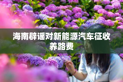 海南辟谣对新能源汽车征收养路费