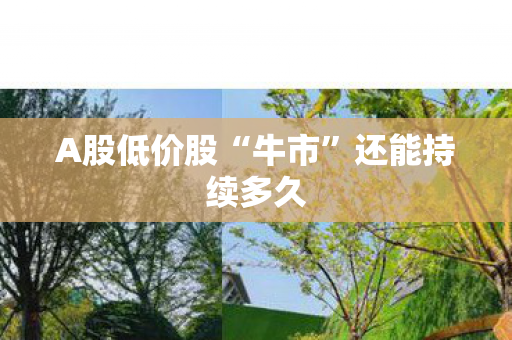 A股低价股“牛市”还能持续多久