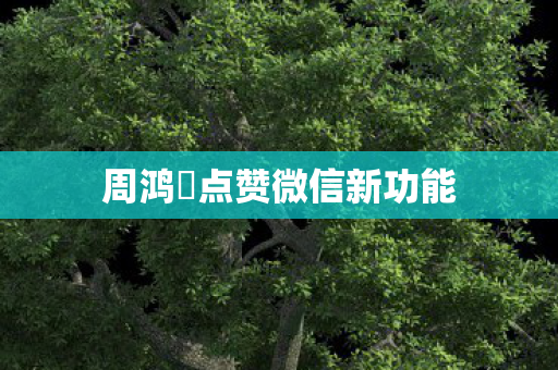 周鸿祎点赞微信新功能