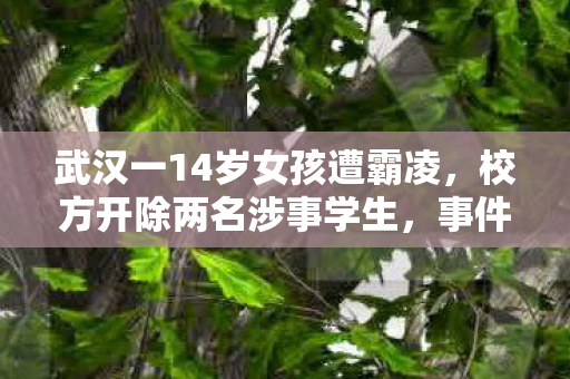 武汉一14岁女孩遭霸凌，校方开除两名涉事学生，事件深度分析与反思