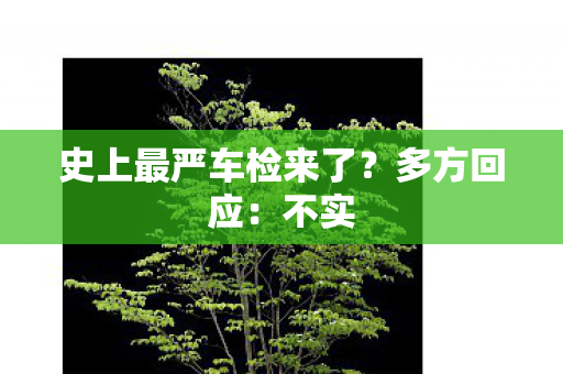 史上最严车检来了？多方回应：不实