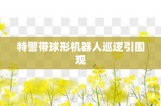 特警带球形机器人巡逻引围观