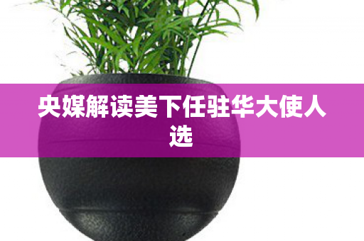 央媒解读美下任驻华大使人选