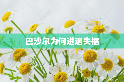 巴沙尔为何进退失据