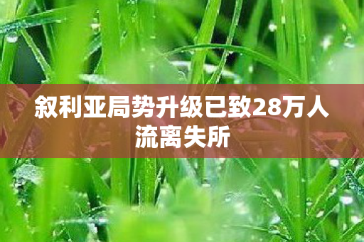 叙利亚局势升级已致28万人流离失所