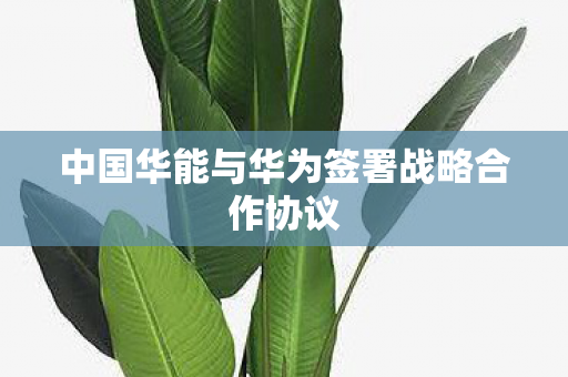 中国华能与华为签署战略合作协议