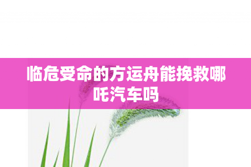 临危受命的方运舟能挽救哪吒汽车吗