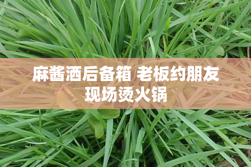 麻酱洒后备箱 老板约朋友现场烫火锅