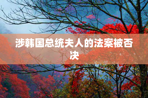 涉韩国总统夫人的法案被否决