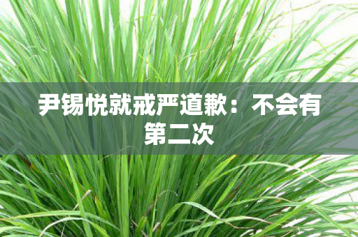 尹锡悦就戒严道歉：不会有第二次