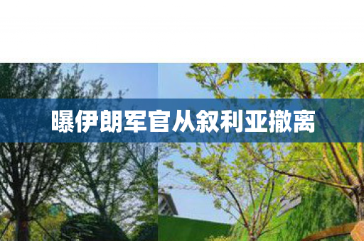 曝伊朗军官从叙利亚撤离