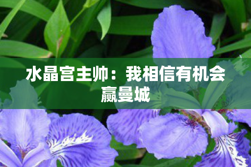 水晶宫主帅：我相信有机会赢曼城