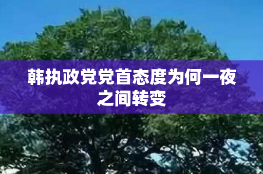 韩执政党党首态度为何一夜之间转变