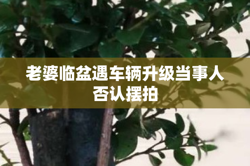 老婆临盆遇车辆升级当事人否认摆拍