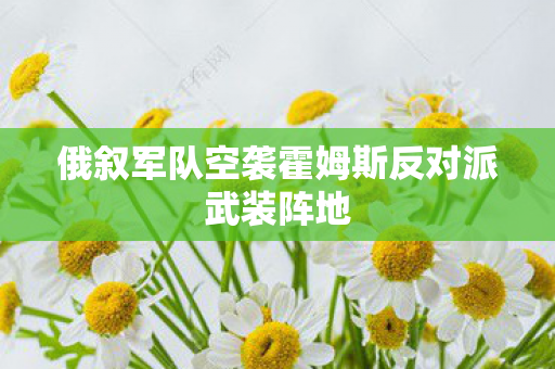 俄叙军队空袭霍姆斯反对派武装阵地