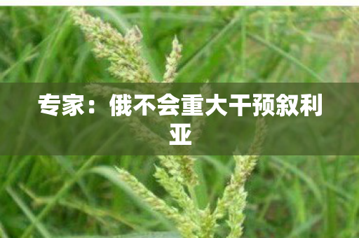 专家：俄不会重大干预叙利亚