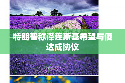 特朗普称泽连斯基希望与俄达成协议