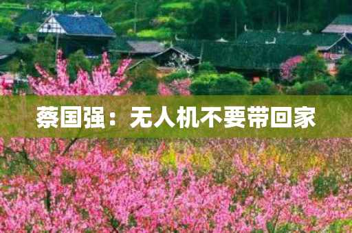蔡国强：无人机不要带回家