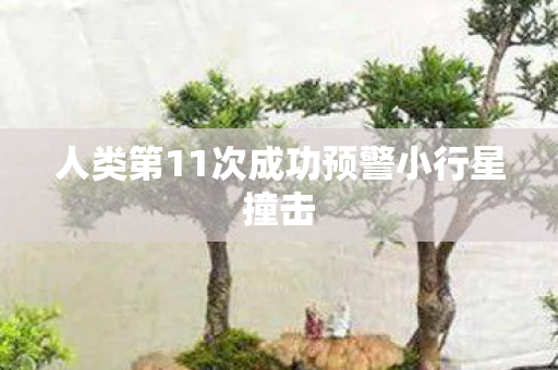 人类第11次成功预警小行星撞击