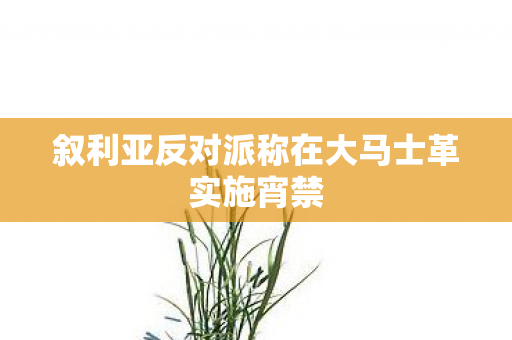 叙利亚反对派称在大马士革实施宵禁