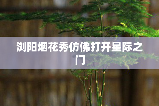 浏阳烟花秀仿佛打开星际之门