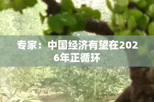 专家：中国经济有望在2026年正循环