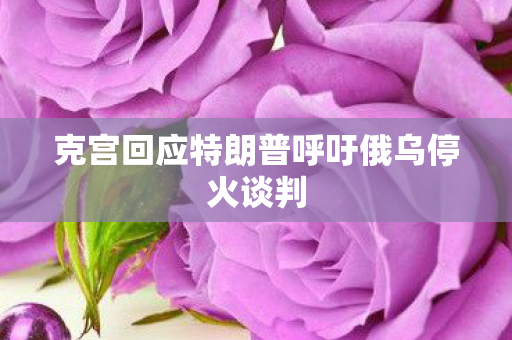 克宫回应特朗普呼吁俄乌停火谈判