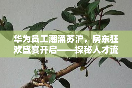 华为员工潮涌苏沪，房东狂欢盛宴开启——探秘人才流动与城市发展新篇章