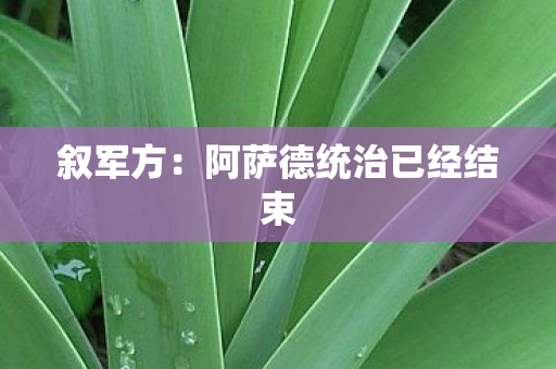 叙军方：阿萨德统治已经结束