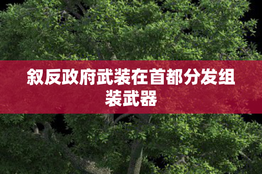叙反政府武装在首都分发组装武器