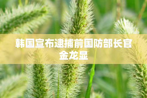 韩国宣布逮捕前国防部长官金龙显