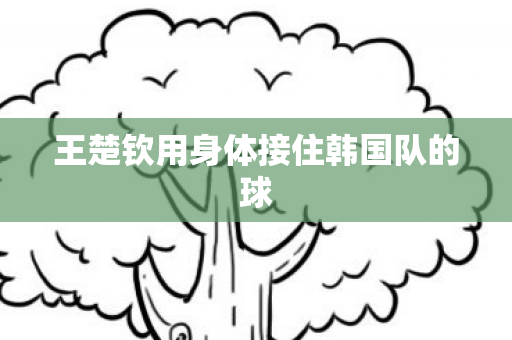 王楚钦用身体接住韩国队的球