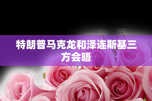 特朗普马克龙和泽连斯基三方会晤