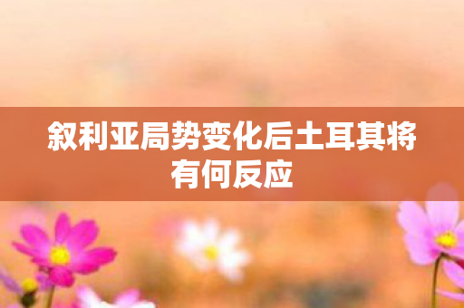 叙利亚局势变化后土耳其将有何反应
