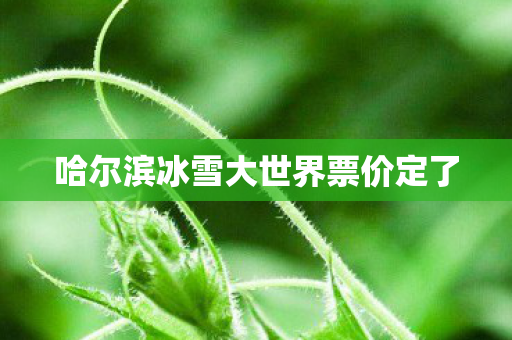 哈尔滨冰雪大世界票价定了