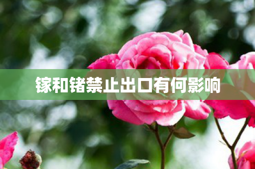 镓和锗禁止出口有何影响
