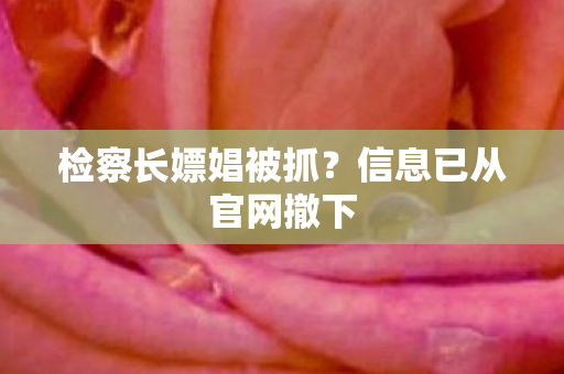 检察长嫖娼被抓？信息已从官网撤下