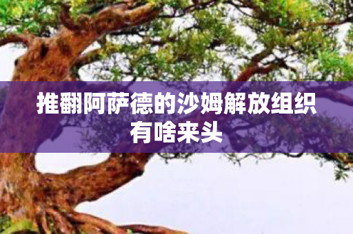 推翻阿萨德的沙姆解放组织有啥来头