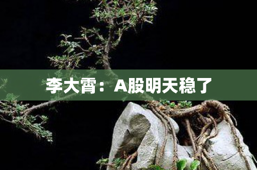 李大霄：A股明天稳了