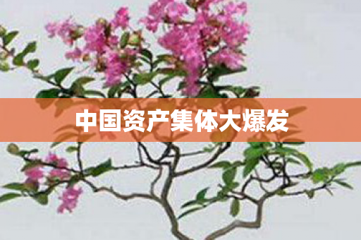 中国资产集体大爆发
