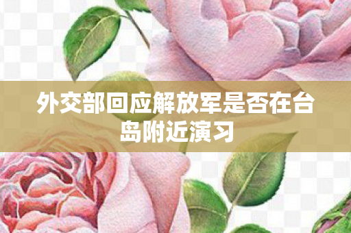 外交部回应解放军是否在台岛附近演习