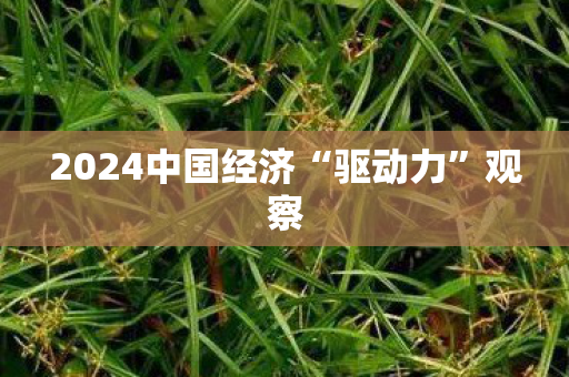 2024中国经济“驱动力”观察