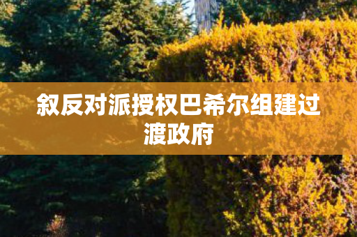 叙反对派授权巴希尔组建过渡政府
