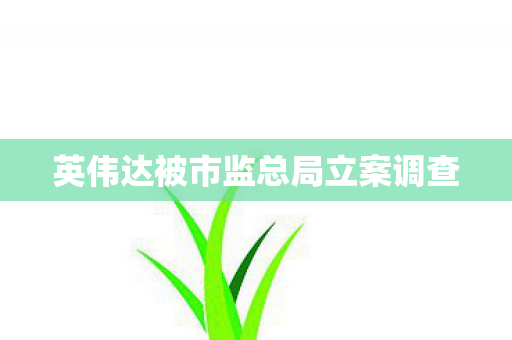 英伟达被市监总局立案调查