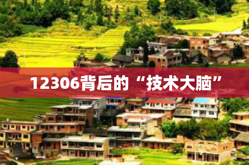 12306背后的“技术大脑”